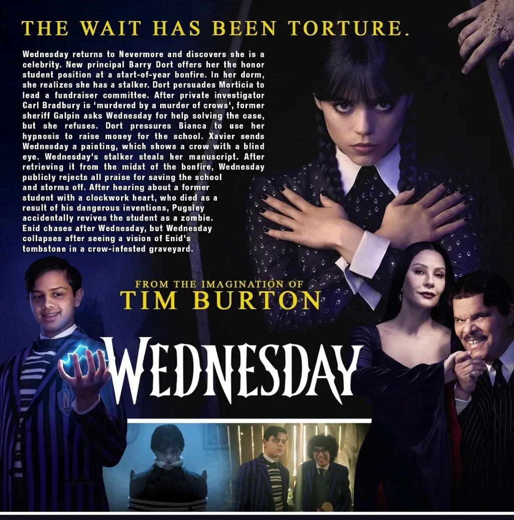 Wednesday Season 2 | 2-Disc Set | English Audio | EN/CH/Malay Sub [Custom DVD]