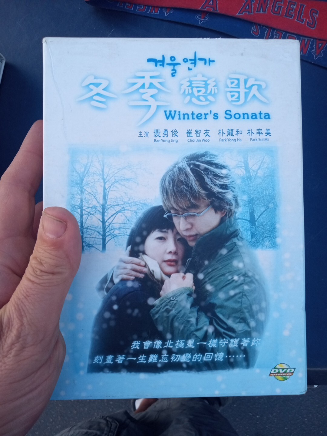 Winters Sonata DVD Mandarin / Korean Version English Chinese Malay Subtitle