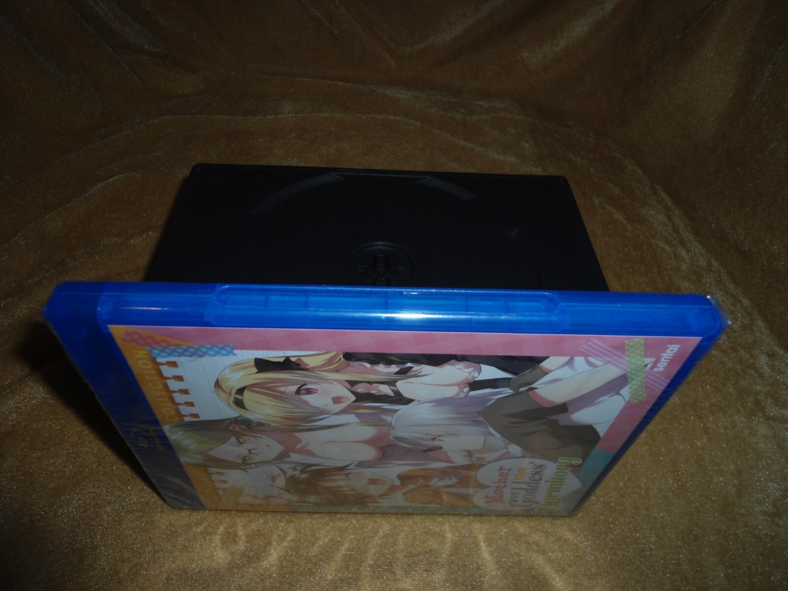 Mother Of The Goddess’ Dormitory (2021) [10 Episodes on 2 Discs] (PLS C NOTE)
