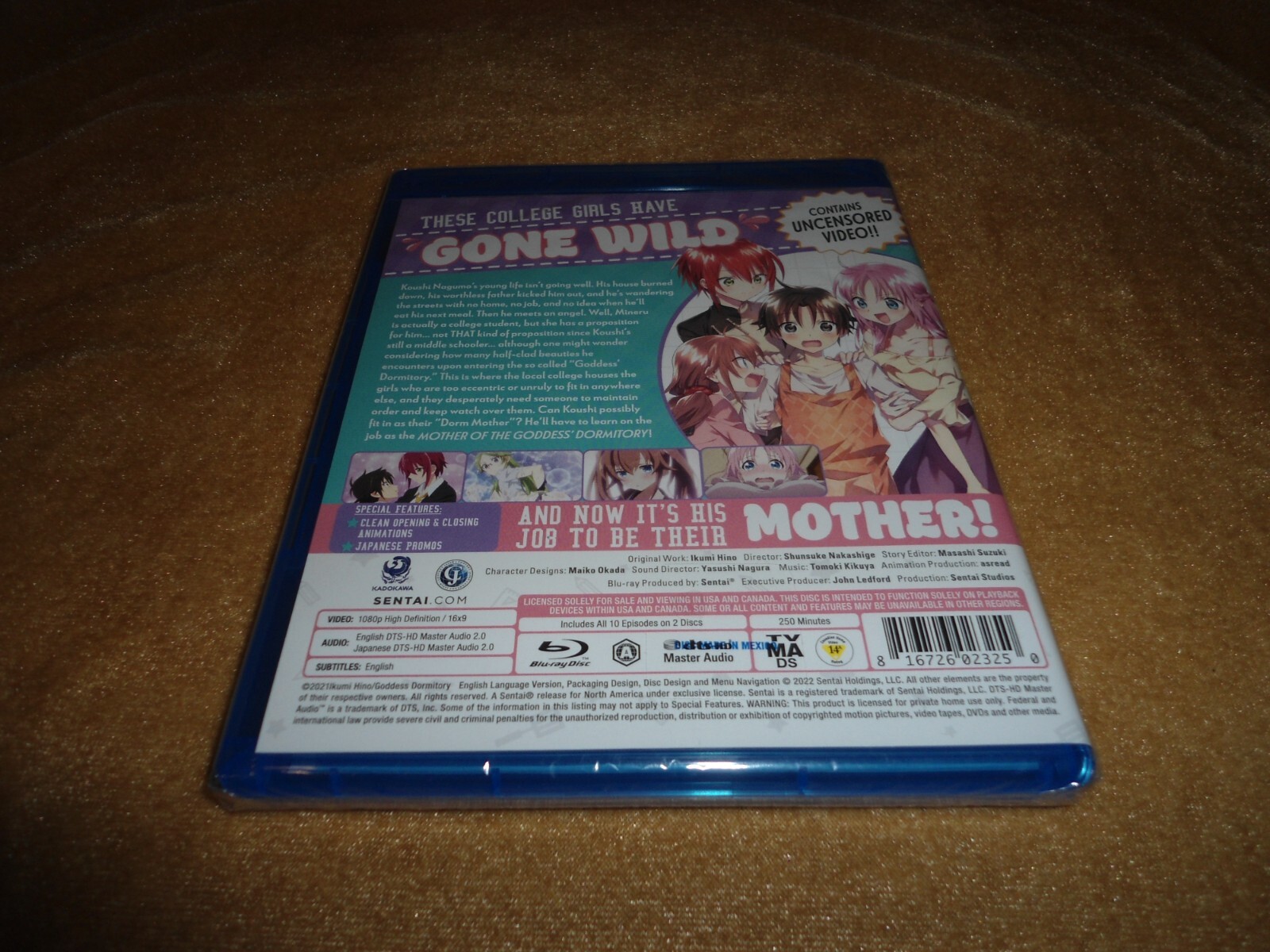 Mother Of The Goddess’ Dormitory (2021) [10 Episodes on 2 Discs] (PLS C NOTE)