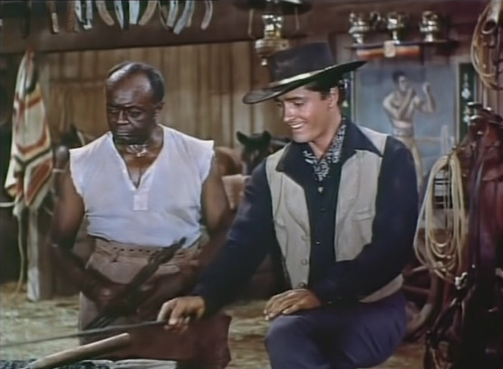 The Outcast 1954 DVD – John Derek, Joan Evans, Jim Davis