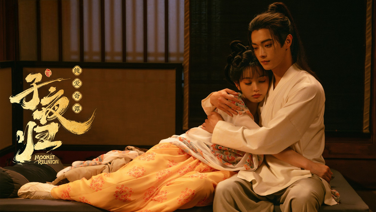 CHINESE DRAMA~Moonlit Reunion 子夜归(1-38End)English subtitle&All region