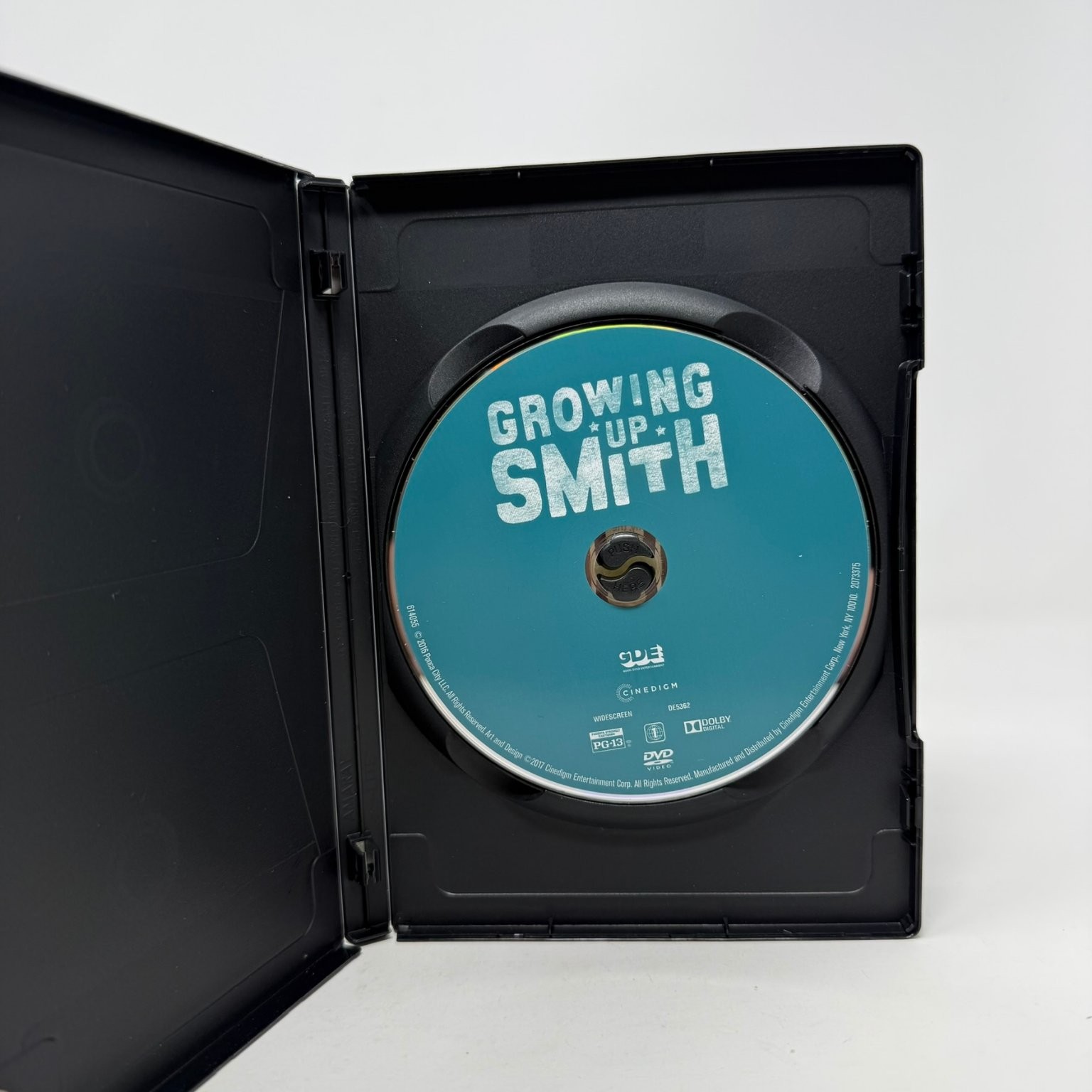 Growing Up Smith (DVD, 2017) Jason Lee – Anjul Nigam – Family Comedy Drama Film