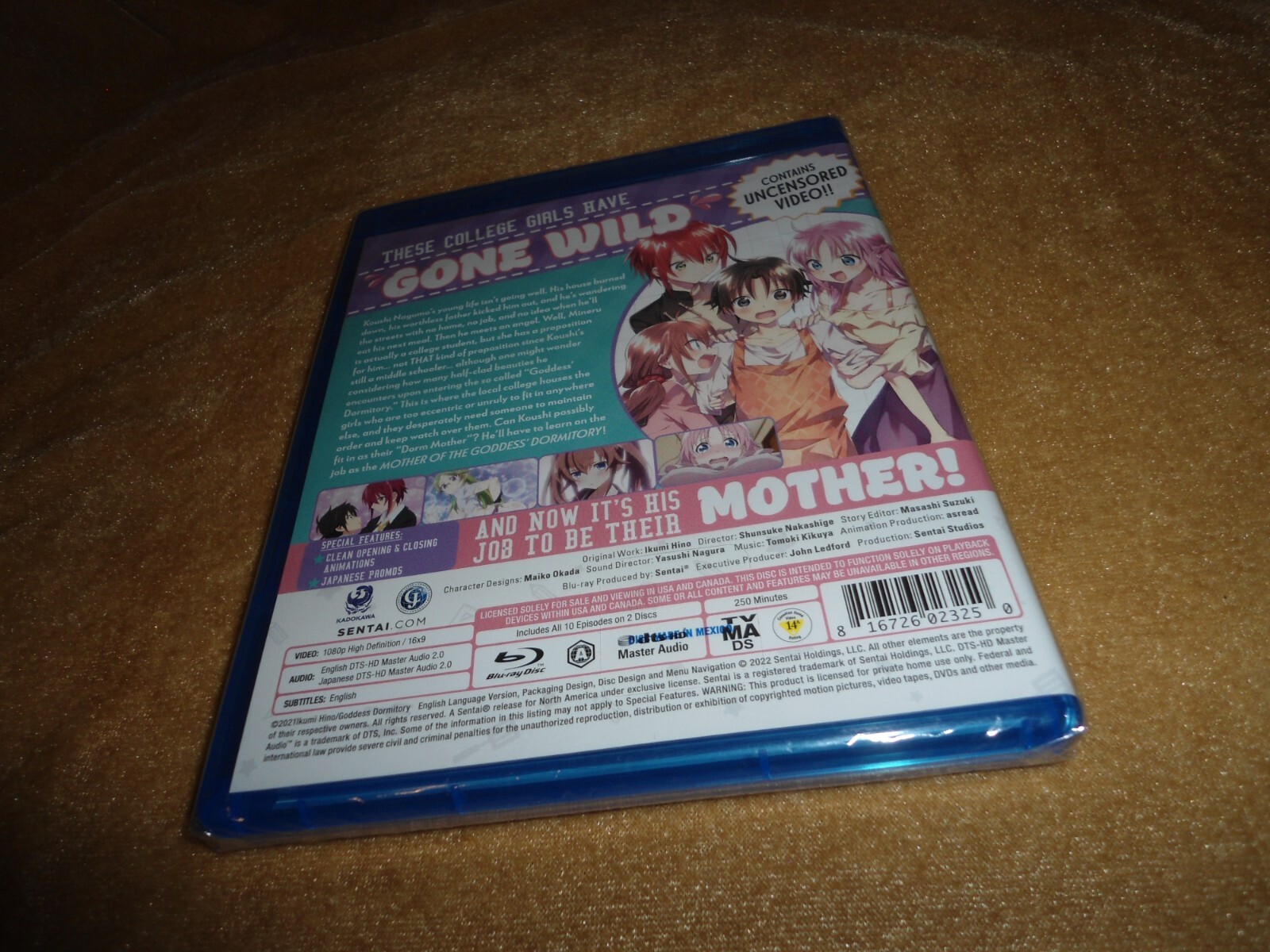 Mother Of The Goddess’ Dormitory (2021) [10 Episodes on 2 Discs] (PLS C NOTE)