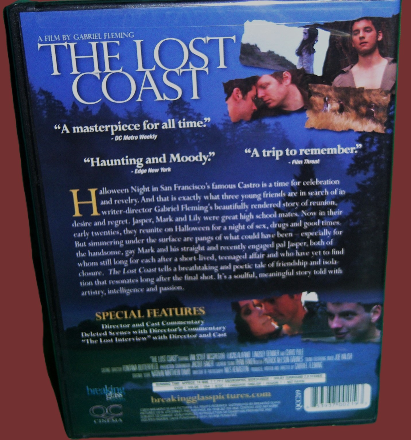 NEW BREAKING GLASS GABRIEL FLEMING GAY THEMED THE LOST COAST MOVIE DVD 2008