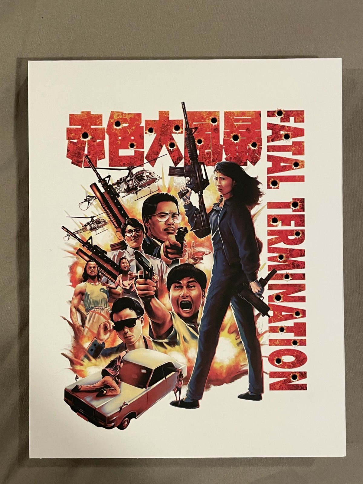 SLIP-COVER ONLY (Fatal Termination ERROR 4444) MINT CONDITION !!!
