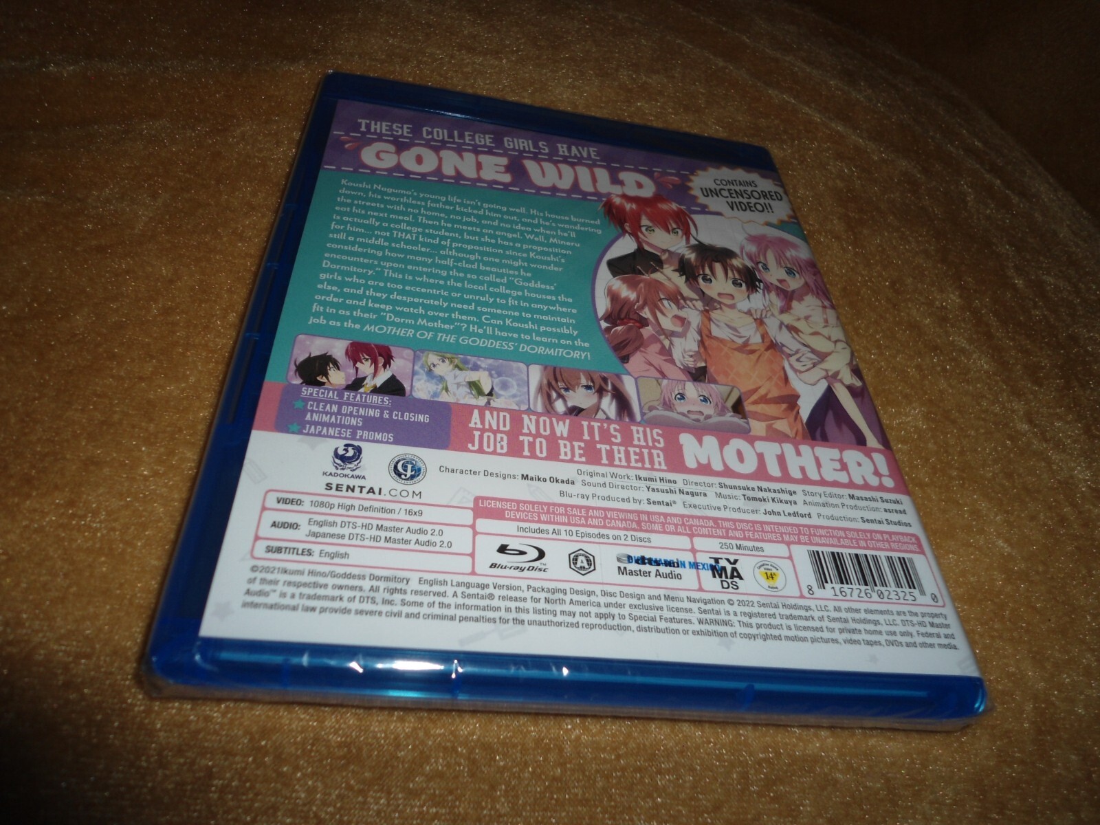 Mother Of The Goddess’ Dormitory (2021) [10 Episodes on 2 Discs] (PLS C NOTE)