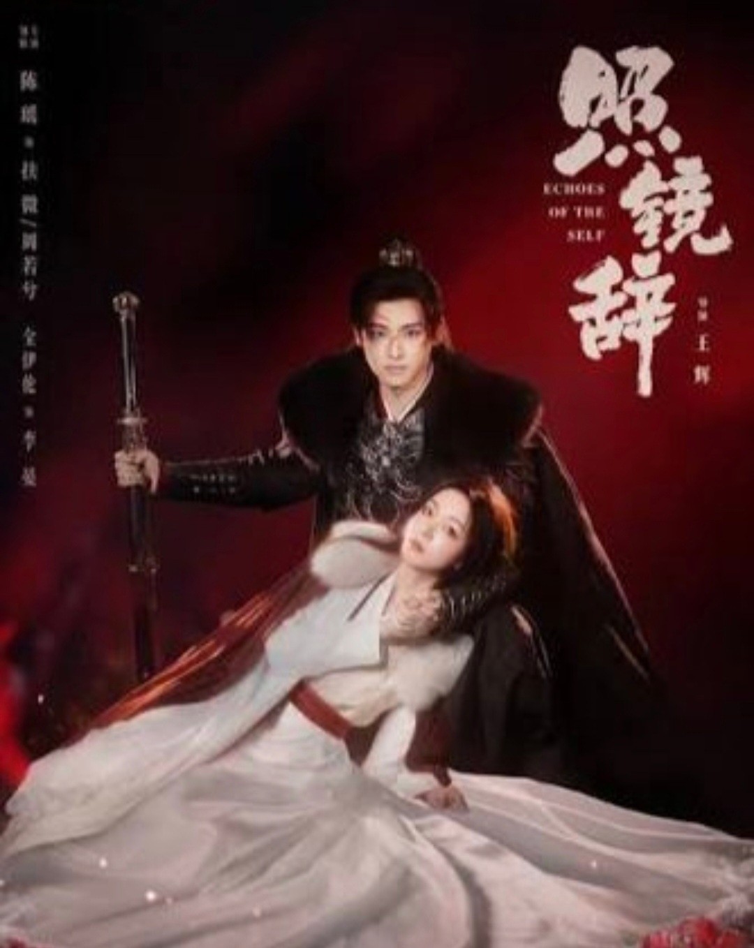 Echoes Of The Self/照镜辞 DVD (2025) (Chinese Drama) (Chi/Eng Subtitle) Region All