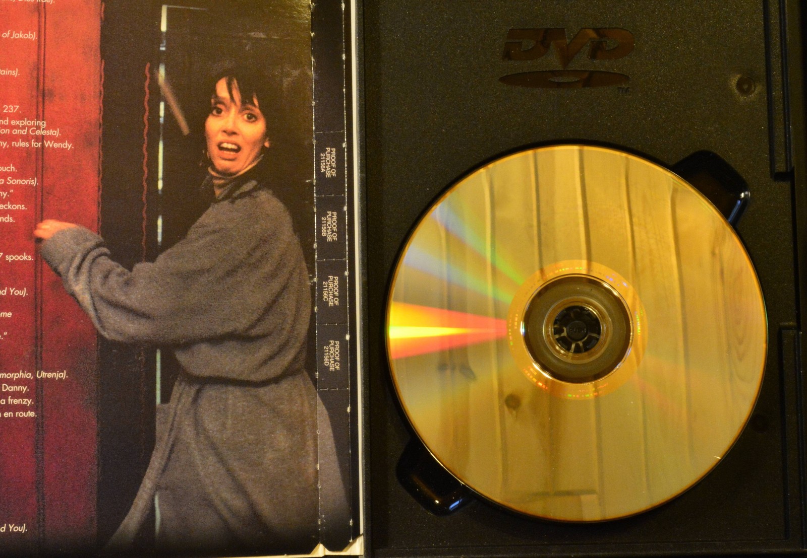 The Shining – DVD – 1980