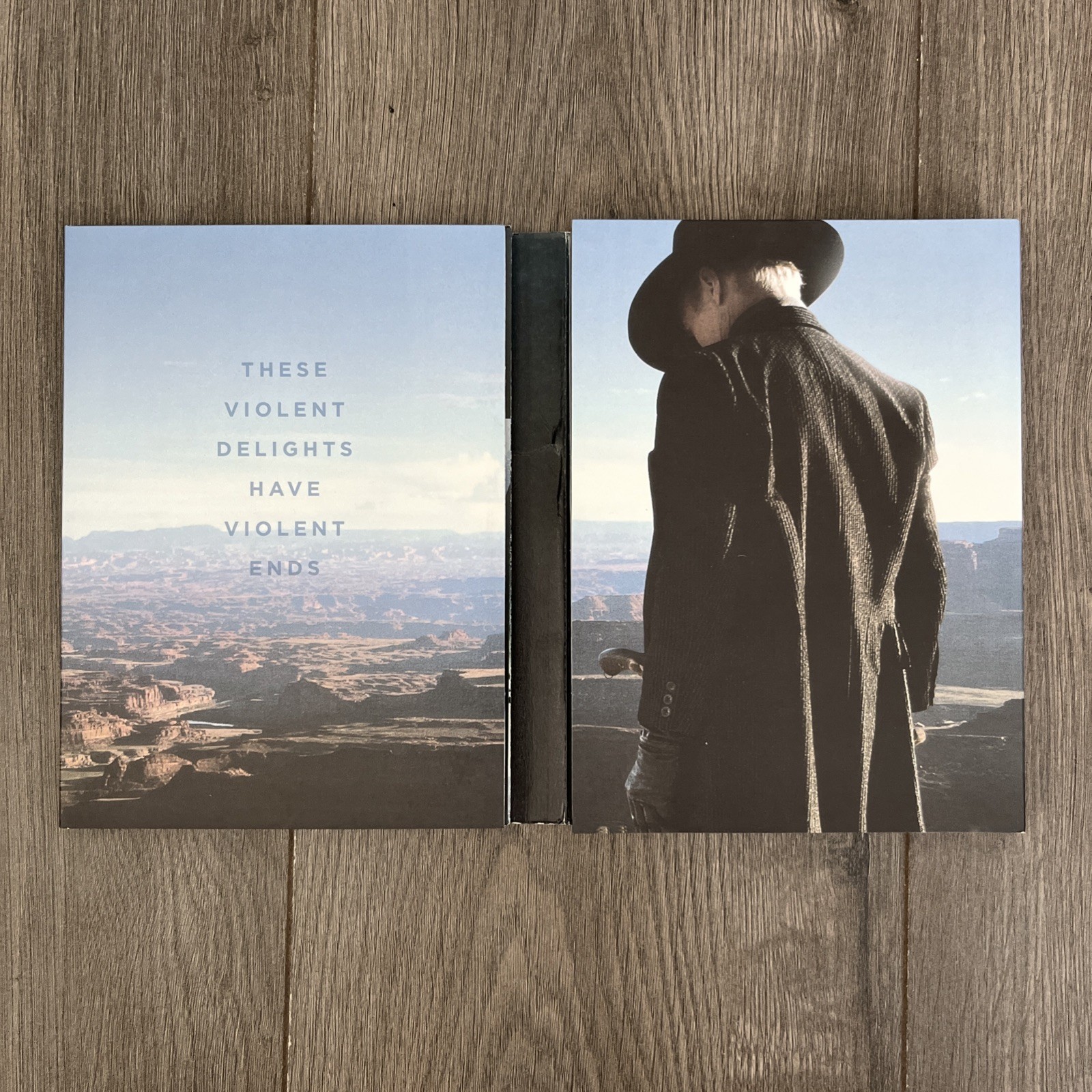 Westworld: Season One: the Maze (DVD, 2016)