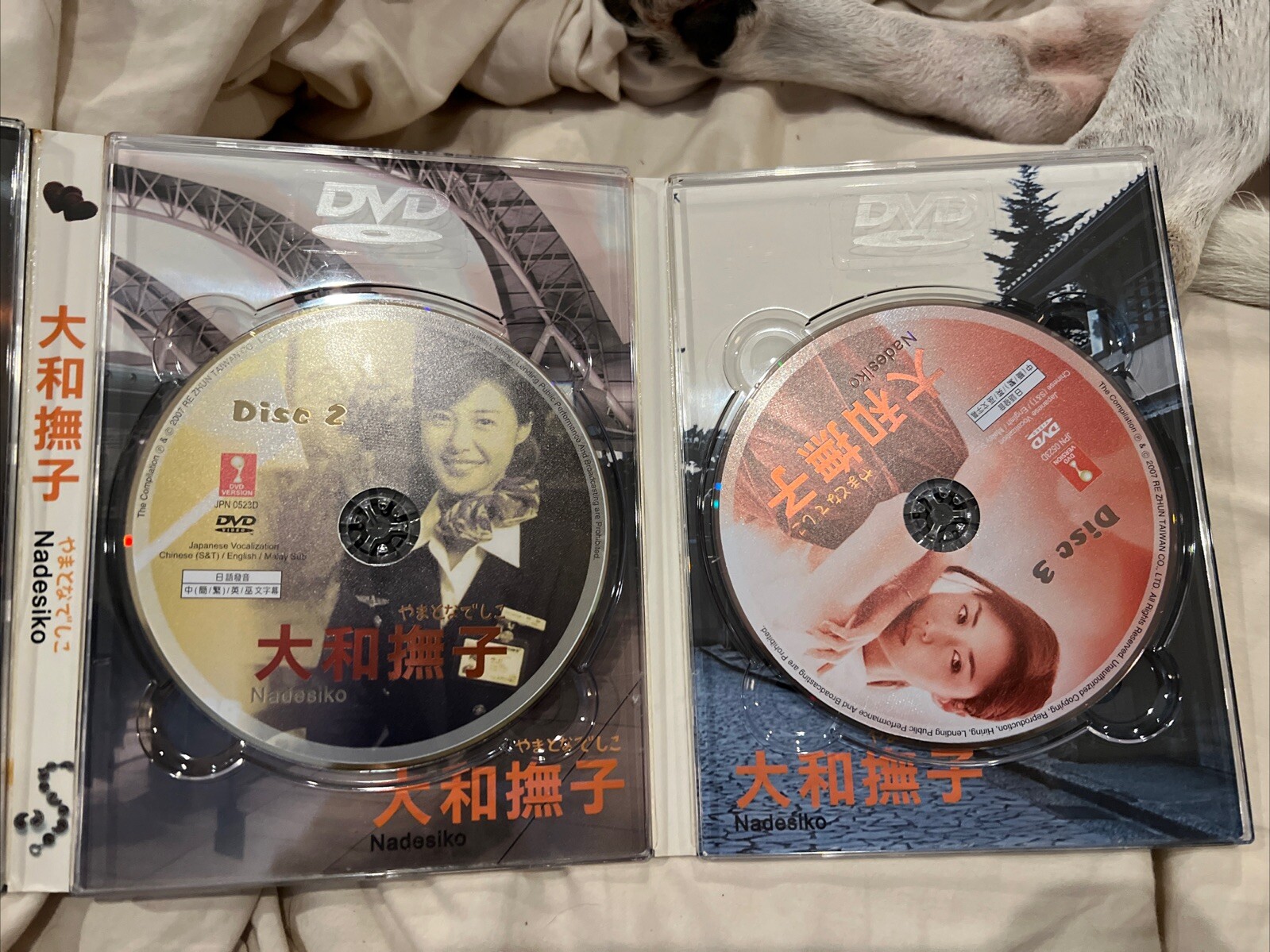 Perfect Woman/Japanese TV series DVD set/Chinese English Malay subtitles