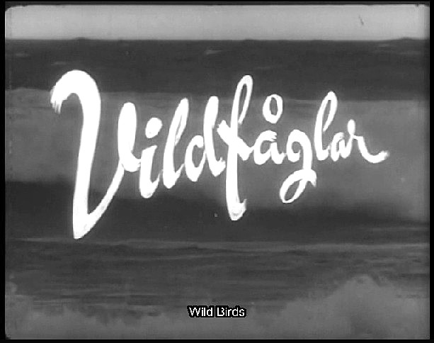 Vildfaglar Wild Birds Sweden 1955 doomed love Eng. subs dvd -r Region-free RARE