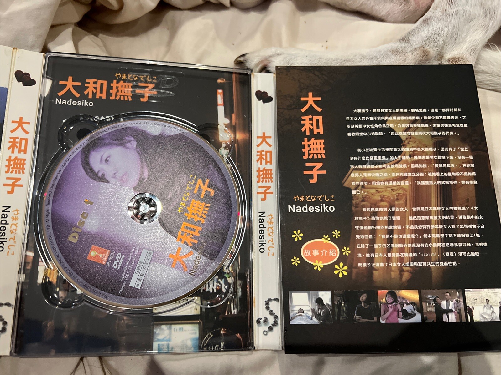 Perfect Woman/Japanese TV series DVD set/Chinese English Malay subtitles