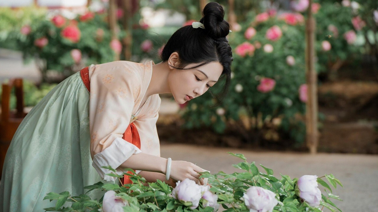 CHINESE DRAMA~Flourished Peony 国色芳华(1-32End)English subtitle&All region