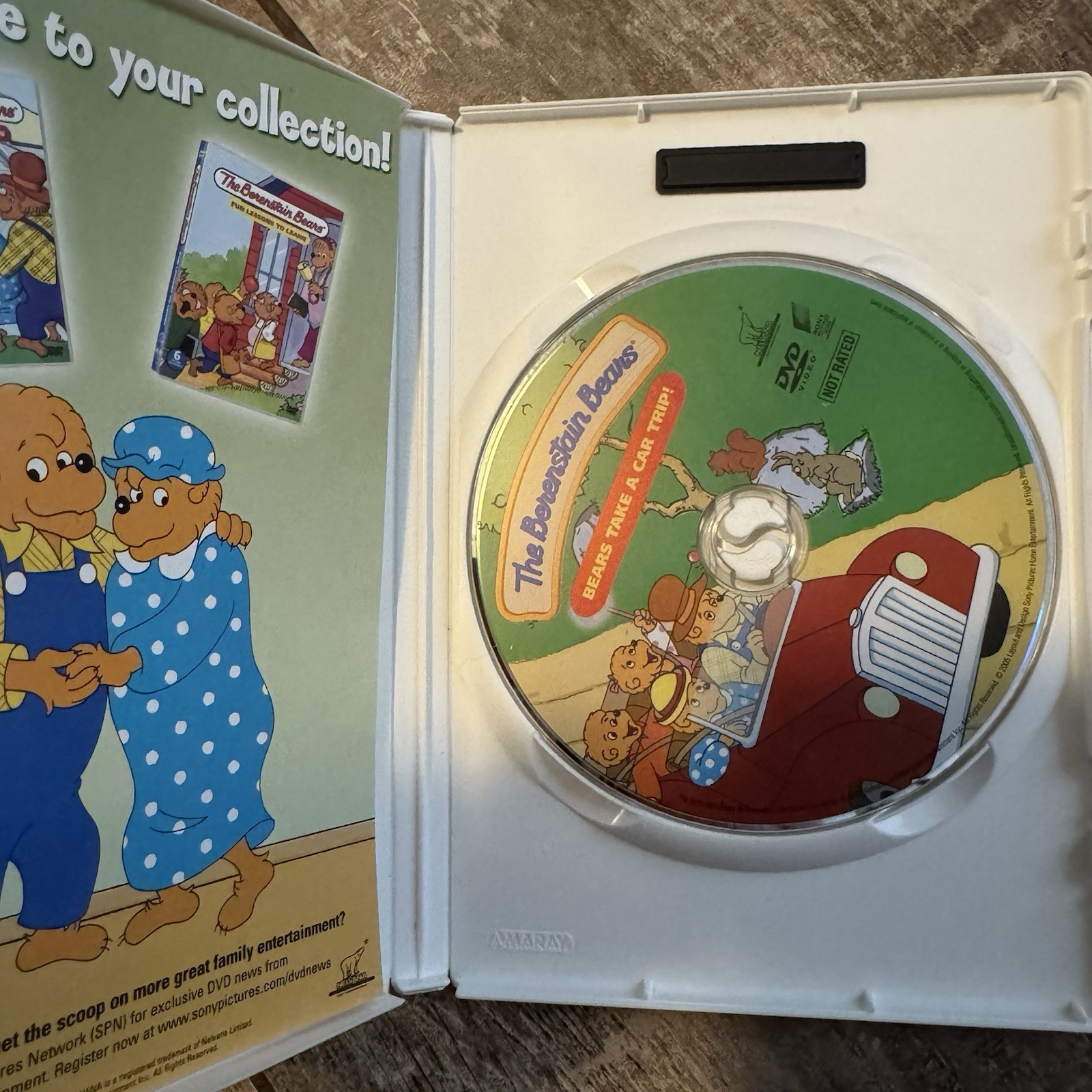 Berenstain Bears DVD Lot of 6 Kids Family Cartoon PBS Children’s Episodes