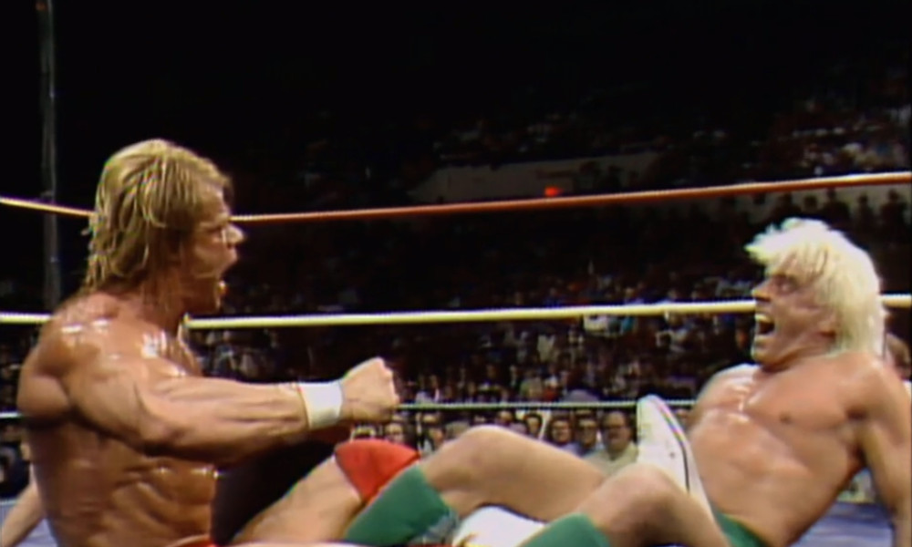 NWA STARRCADES 1983-1990 9 DVD SET *RIC FLAIR* HARLEY RACE*ROAD WARRIORS*