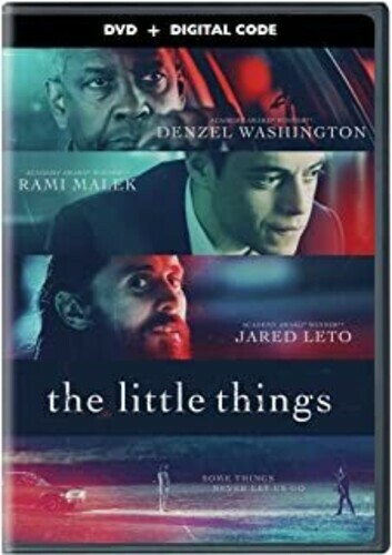 The Little Things (DVD, 2021) Disc Only 5011