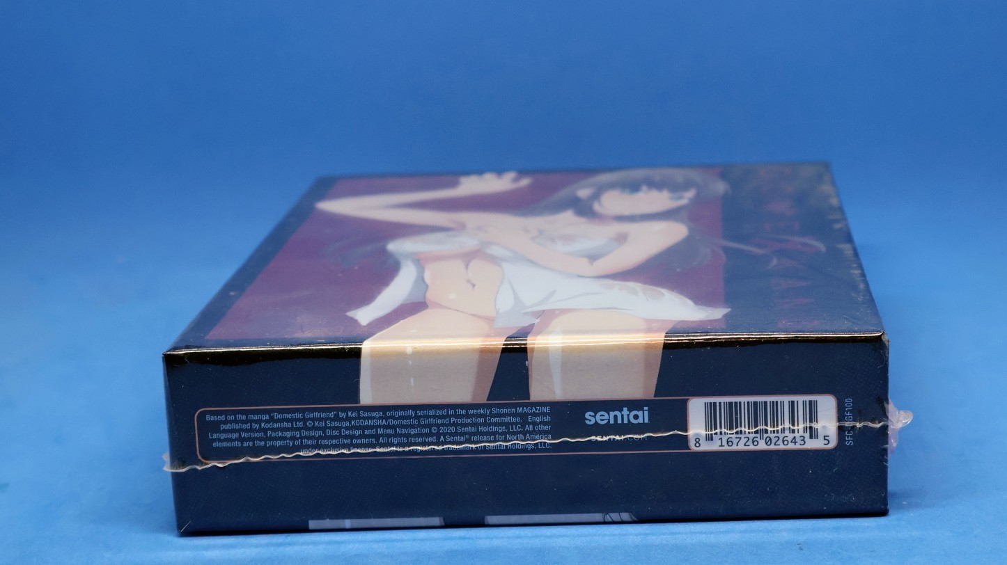 Domestic Girlfriend: Limited Edition (Blu-ray, 2019, 2-Disc, 12-Ep) R1 Anime OOP