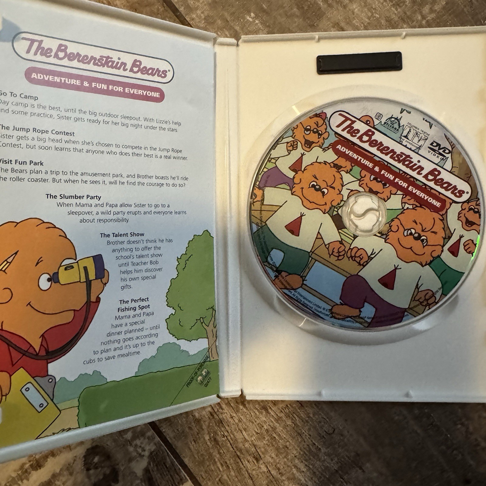 Berenstain Bears DVD Lot of 6 Kids Family Cartoon PBS Children’s Episodes