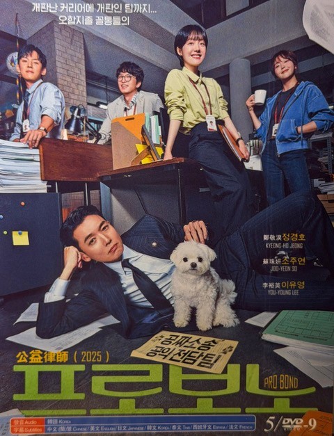 Korean Drama – Pro Bono