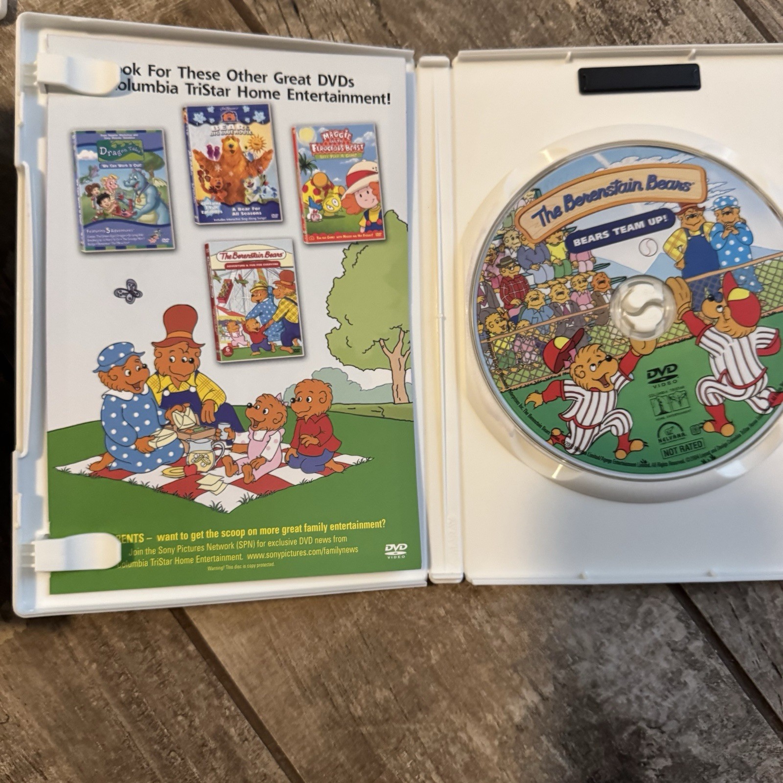 Berenstain Bears DVD Lot of 6 Kids Family Cartoon PBS Children’s Episodes