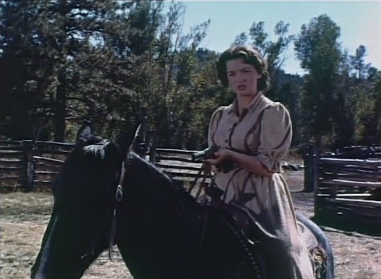 The Outcast 1954 DVD – John Derek, Joan Evans, Jim Davis