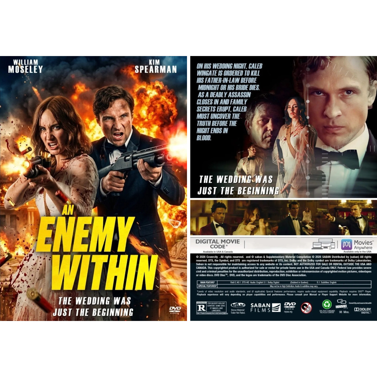 DVD An Enemy Within 2025 Mystery/Suspense/Psychological Thriller Full HD All Reg
