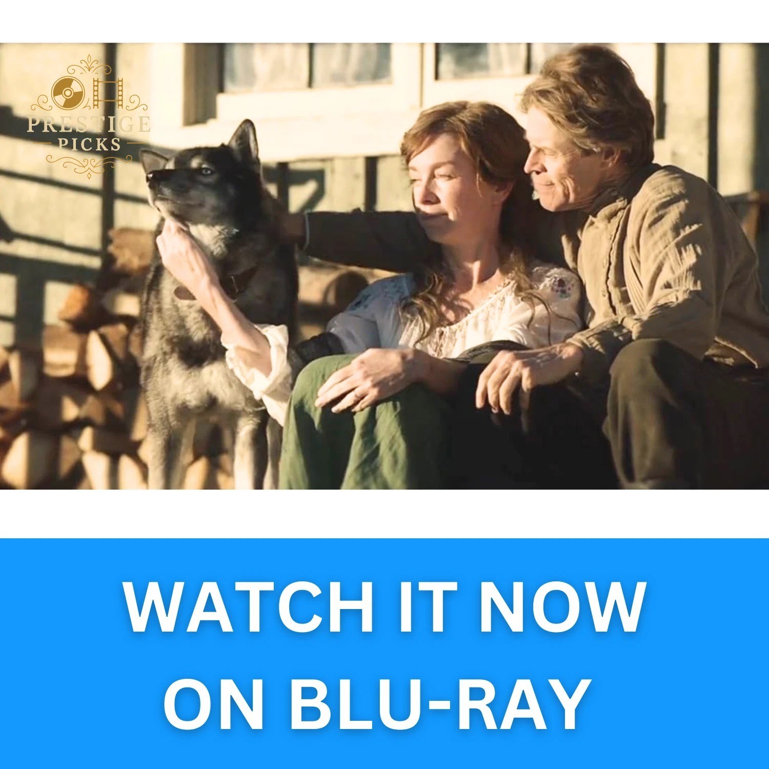 Togo (2019) Blu-ray NEW 1080p Full HD Region Free Adventure Movie Ready Stock