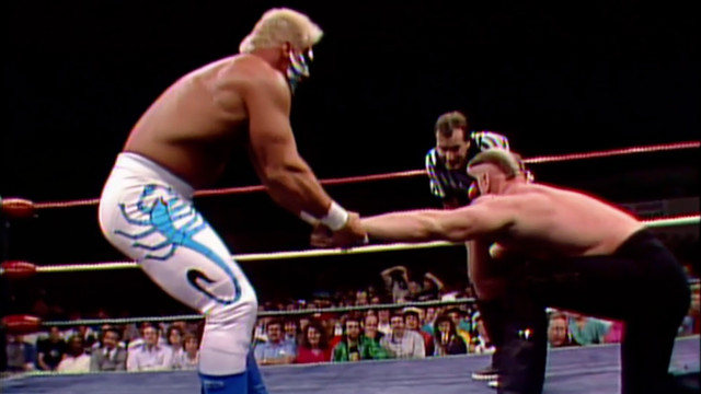 NWA STARRCADES 1983-1990 9 DVD SET *RIC FLAIR* HARLEY RACE*ROAD WARRIORS*