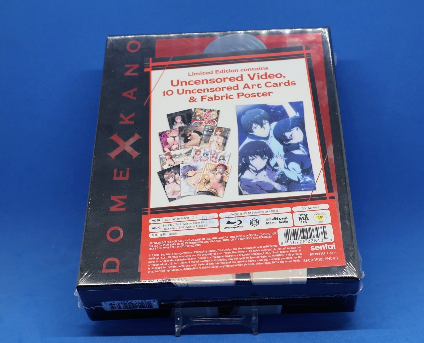 Domestic Girlfriend: Limited Edition (Blu-ray, 2019, 2-Disc, 12-Ep) R1 Anime OOP