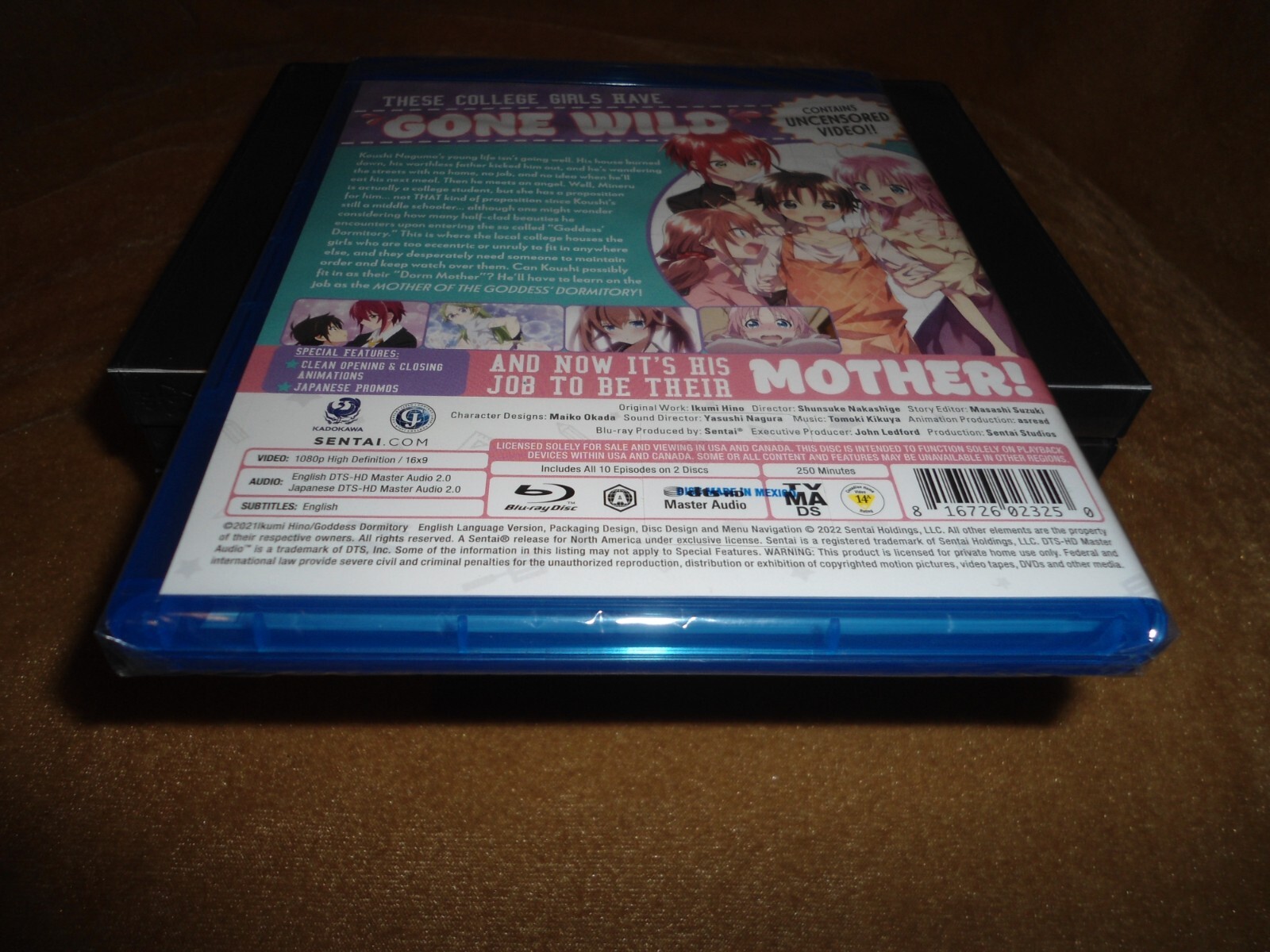 Mother Of The Goddess’ Dormitory (2021) [10 Episodes on 2 Discs] (PLS C NOTE)
