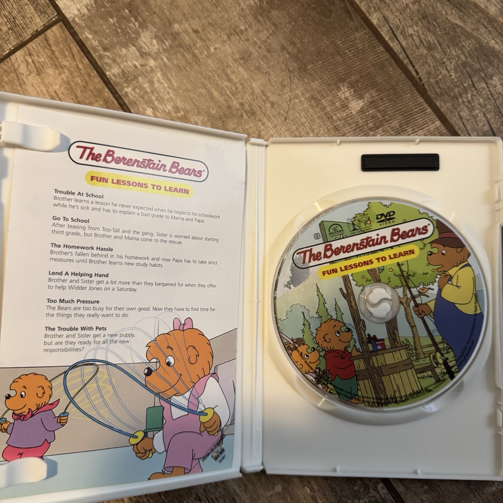 Berenstain Bears DVD Lot of 6 Kids Family Cartoon PBS Children’s Episodes